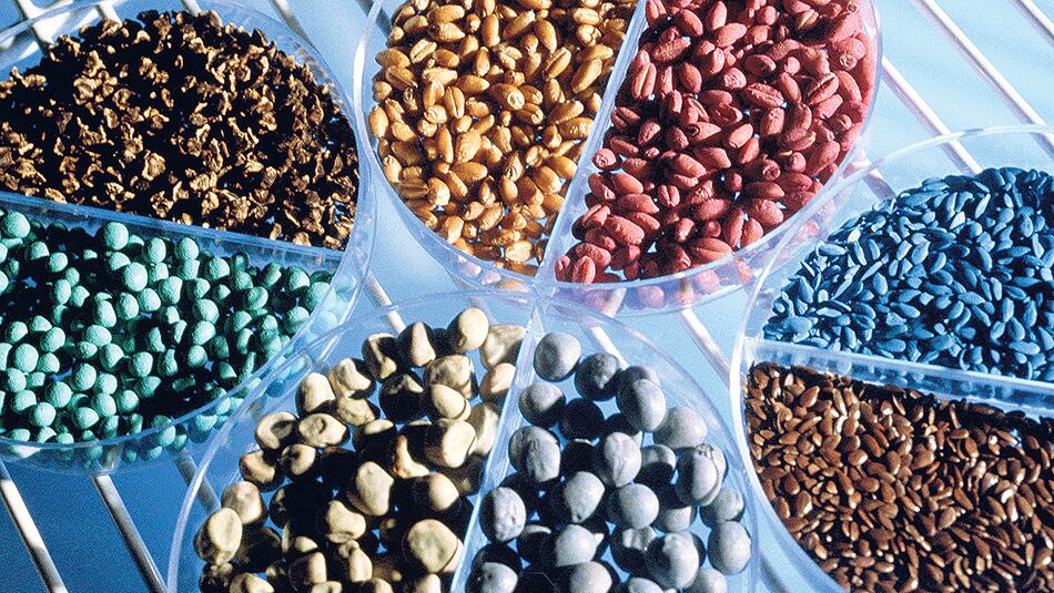 Cuatro grupos de empresas controlan el 90 por ciento de las semillas transgénicas y el 60 por ciento del total.