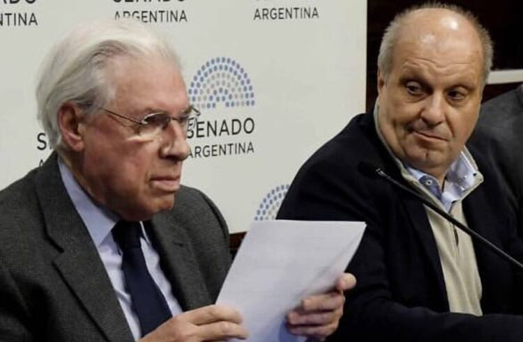 Lombardi y Pousá repitieron ante los senadores el mismo libreto que en la Cámara Baja.