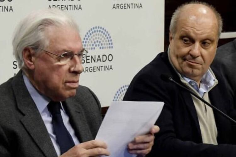 Lombardi y Pousá repitieron ante los senadores el mismo libreto que en la Cámara Baja.