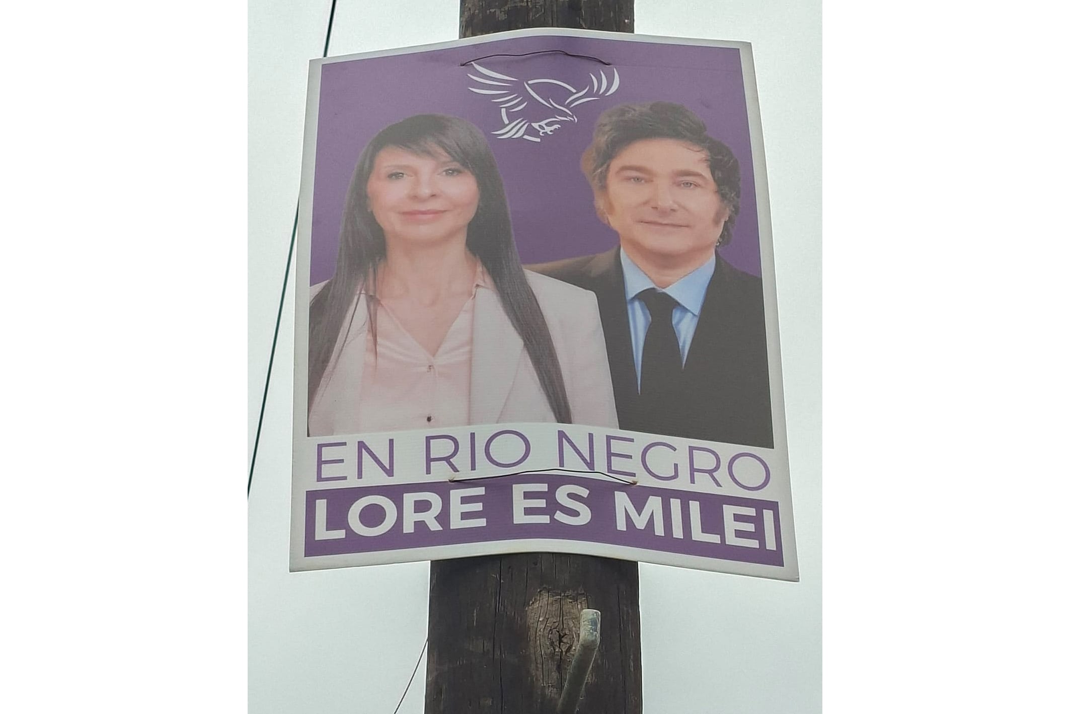 Los afiches de La Libertad Avanza en Río Negro.