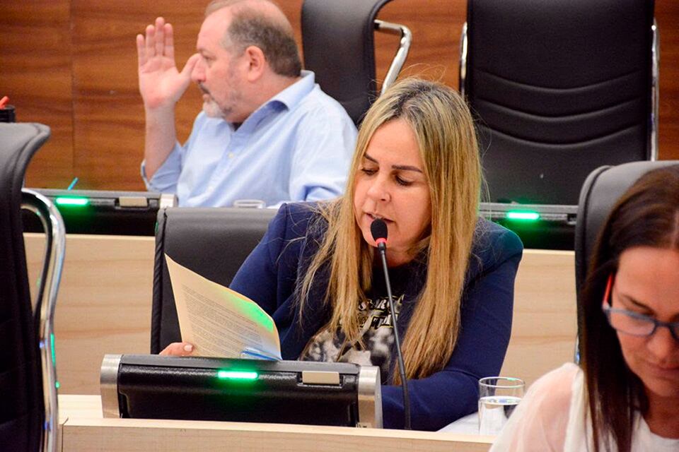 Concejala León, autora de la ordenanza.