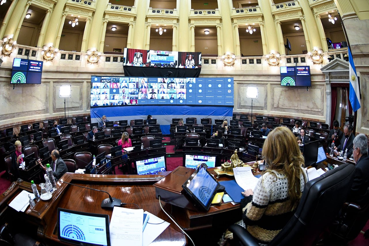 El proyecto fue acompañado por senadores de distintas provincias, incluso de Juntos por el Cambio.
