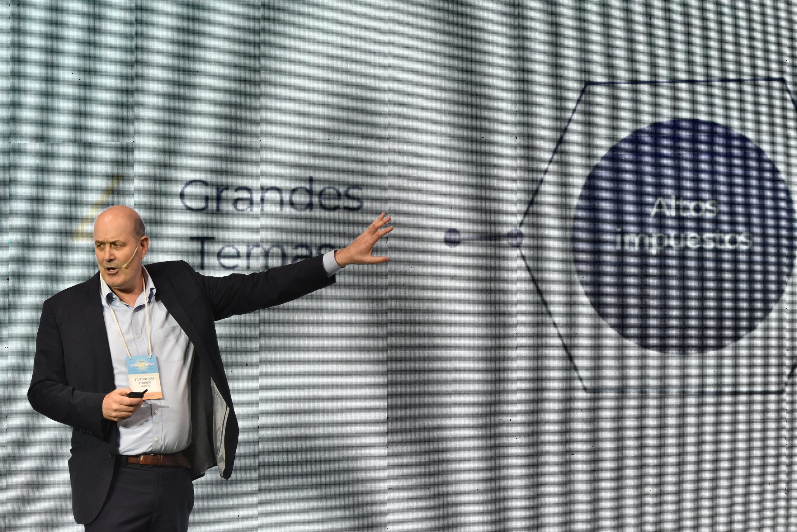 Sturzenegger, ante CEOs, en Idea.