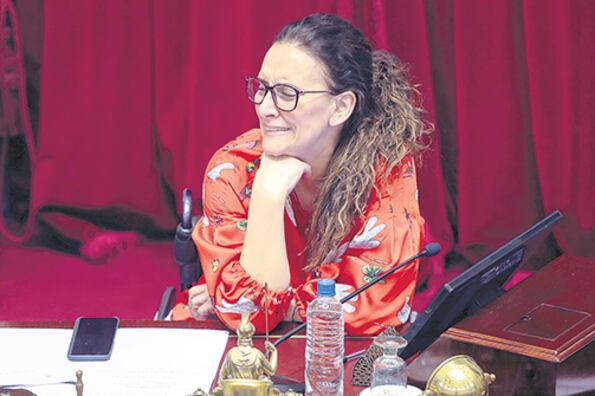 Temprano, Michetti se refirió al proyecto de interrupción “involuntaria” del embarazo.