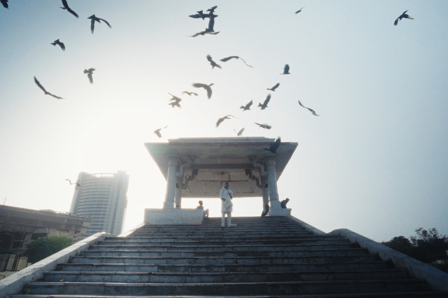 “La triangulación abstracta entre el aire, los humanos y los pájaros”, define el director a su película. 