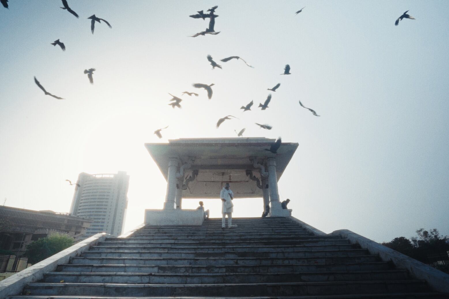 “La triangulación abstracta entre el aire, los humanos y los pájaros”, define el director a su película.