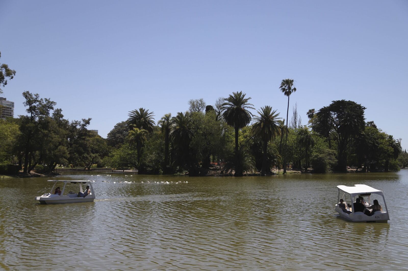 Feriados Argentina 2024