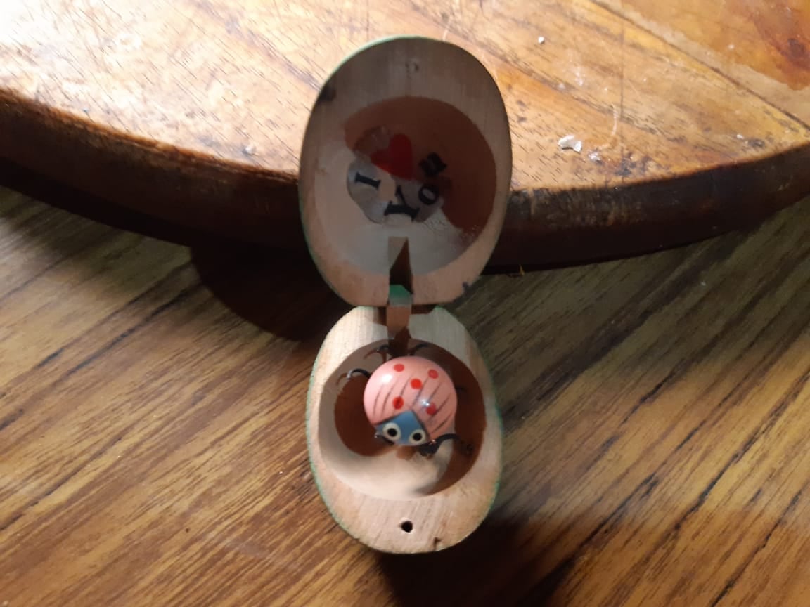 La sandía con la vaquita de San Antonio encontrada en la comisaría de Origone.