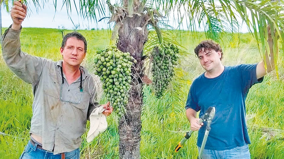 Los ingenieros agrónomos Diego Wassner y Antonio Barrio, de la cátedra de Cultivos industriales UBA.