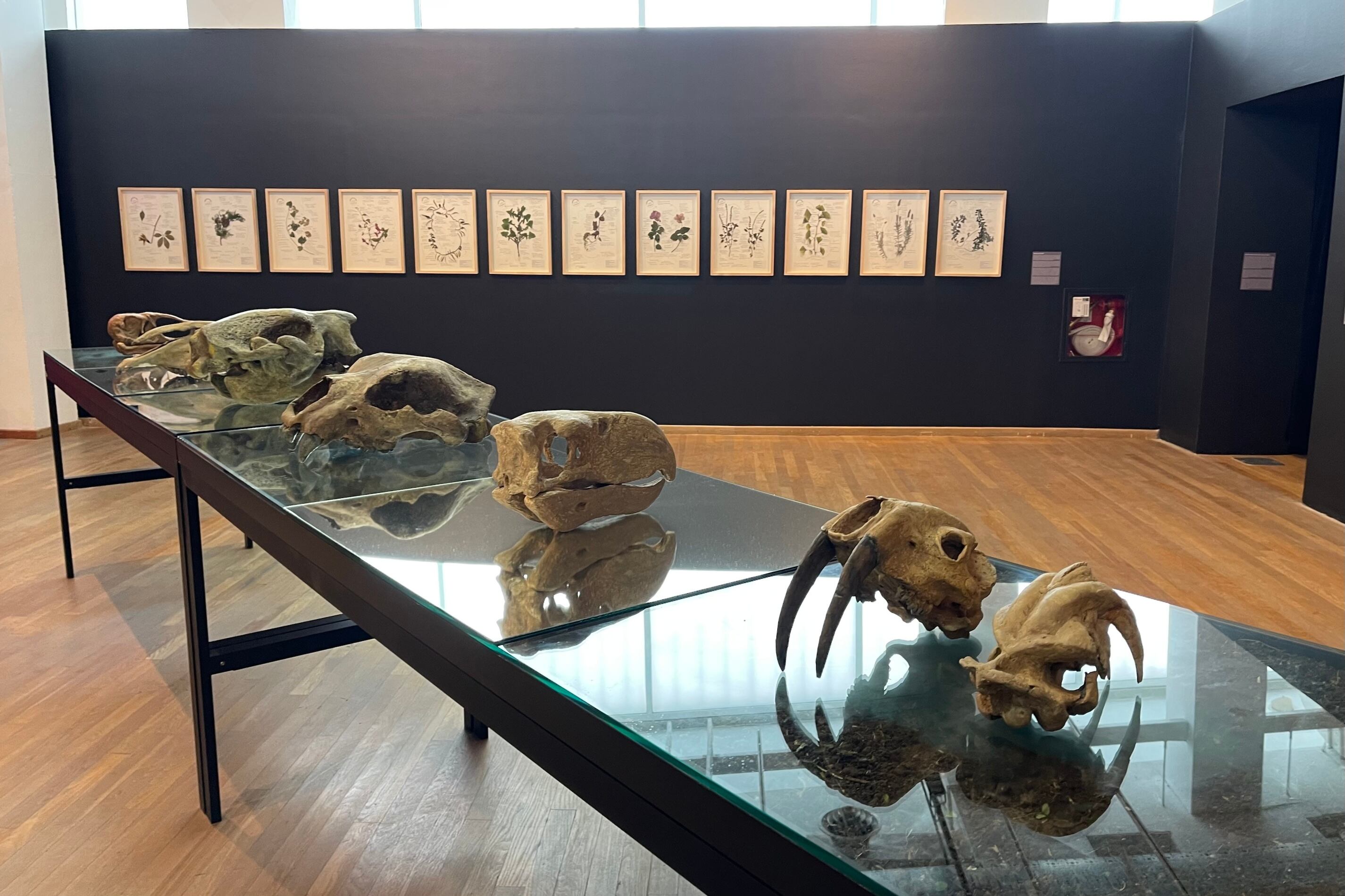 Vista parcial de la exposición de Marcelo Expósito