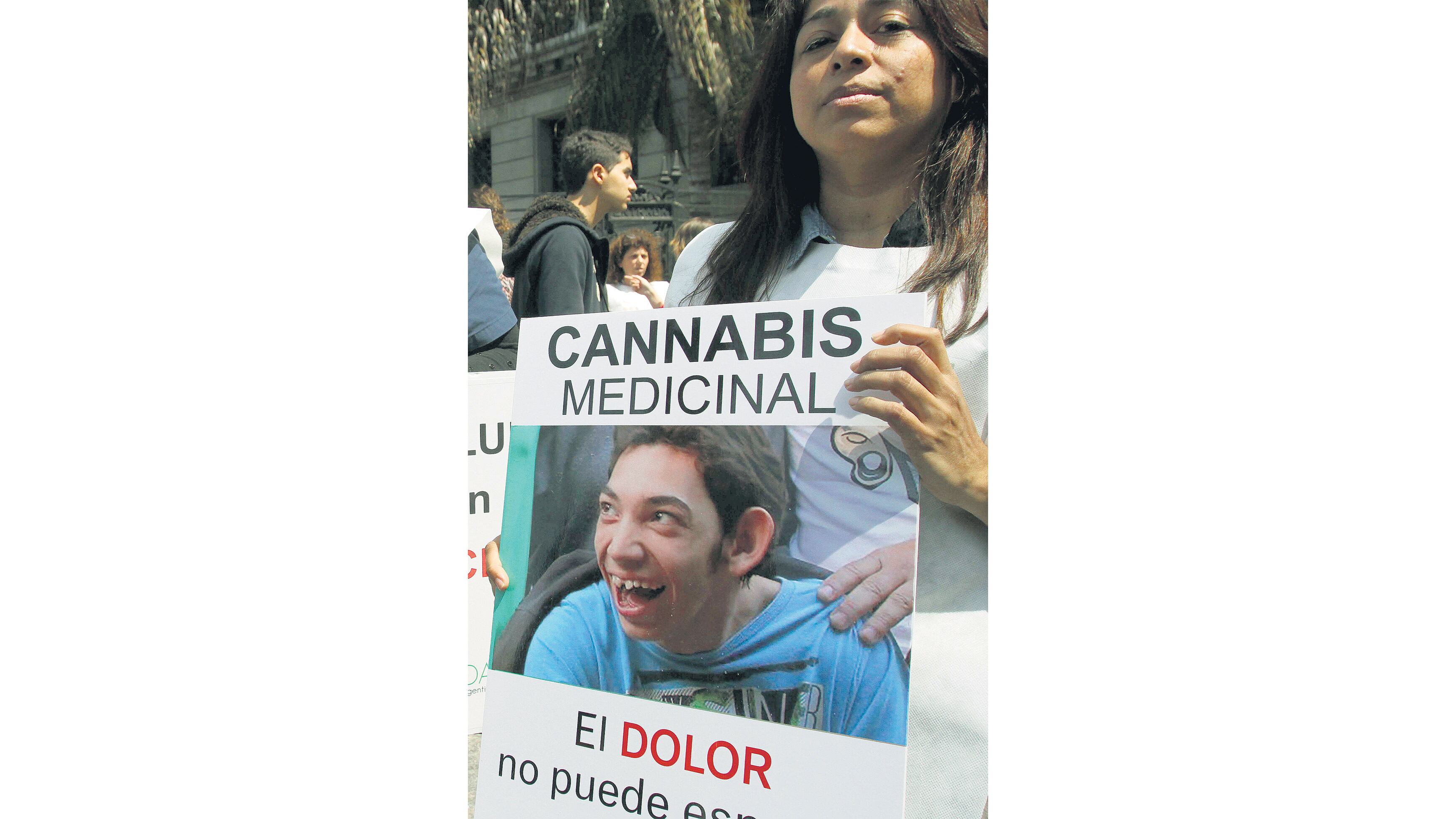 Los reclamos por el autocultivo llevaron a la sanción de una ley.