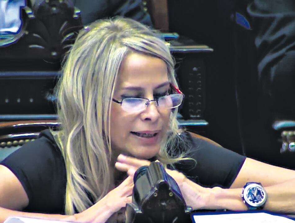 La diputada cuestionó el apoyo inicial de Avruj a la decisión de la Corte.