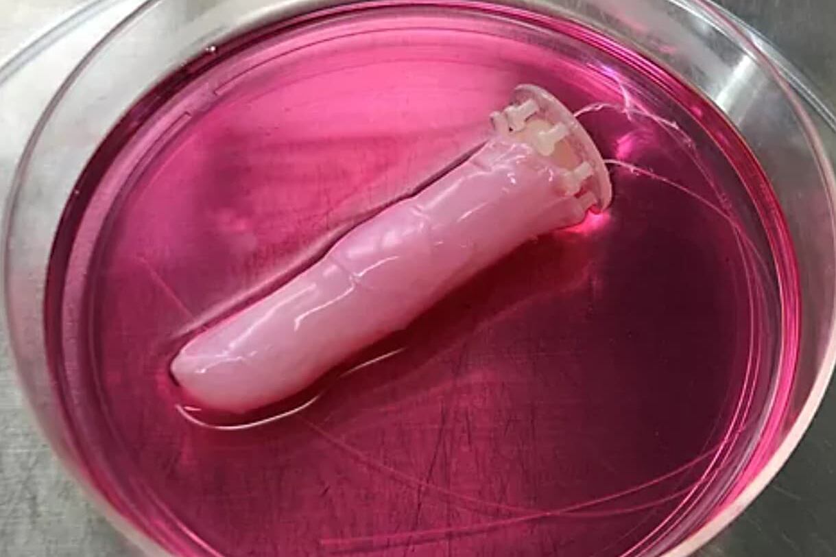 El dedo recubierto con la piel para robots que desarrollaron los científicos en Japón.