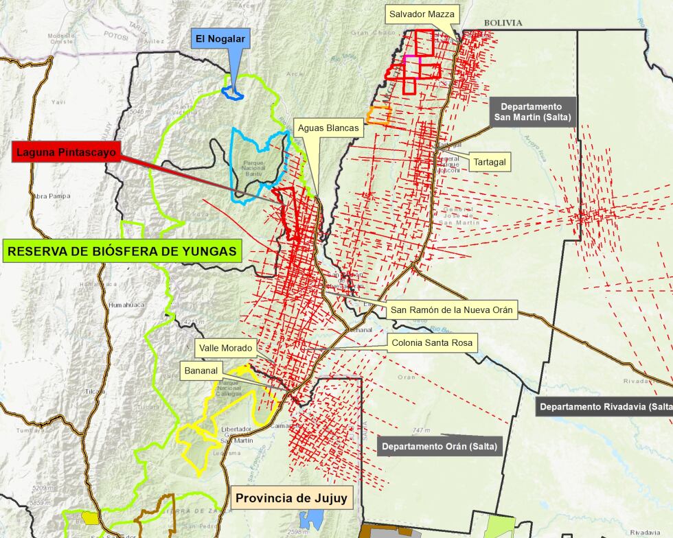 Las líneas de prospección en Salta y Jujuy. En rojo, las líneas de exploración petrolera entre 1978 y 1985. 