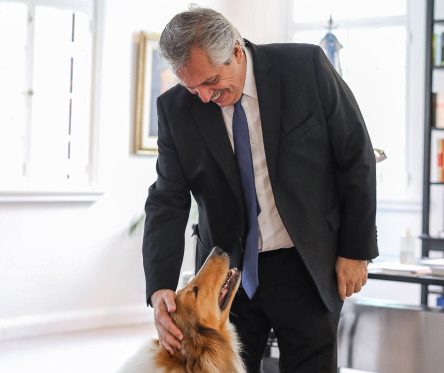 Alberto Fernández acaricia a Dylan en su oficina. A veces lo reta porque le ensucia el traje.