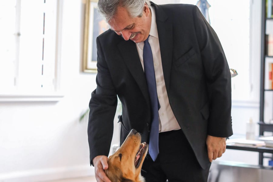 Alberto Fernández acaricia a Dylan en su oficina. A veces lo reta porque le ensucia el traje.