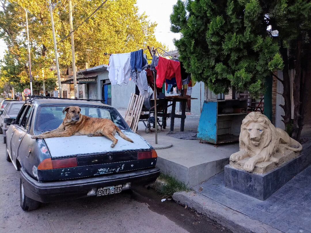 El modelo y la obra, por @casiopeafotografia.