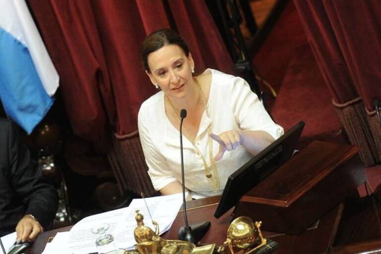 Michetti al frente de una sesión del Senado, que debe tratar la ley sobre el aborto.