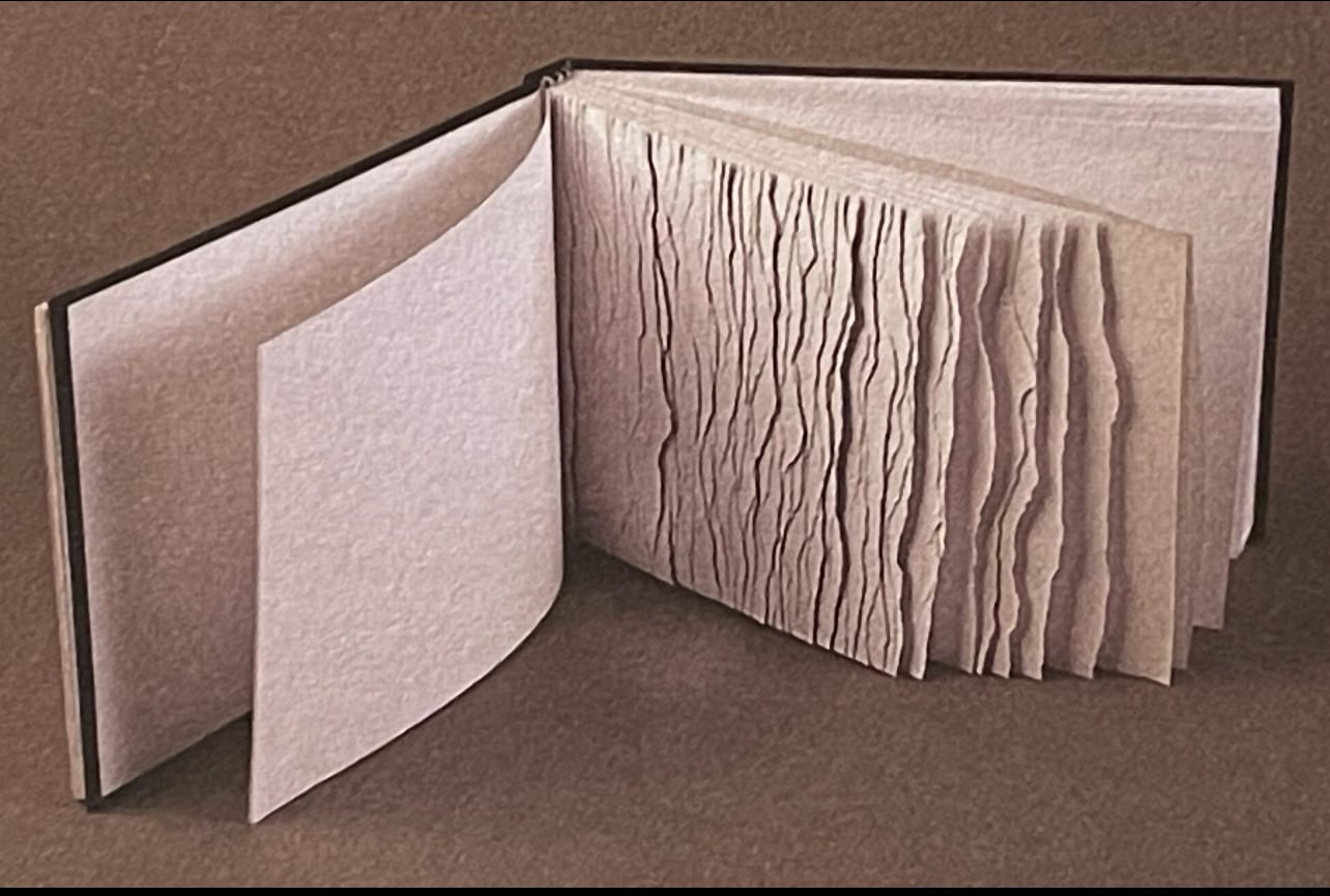 Mónica Goldstein, Senderos, 2019. Encuadernación de cuadernillos.