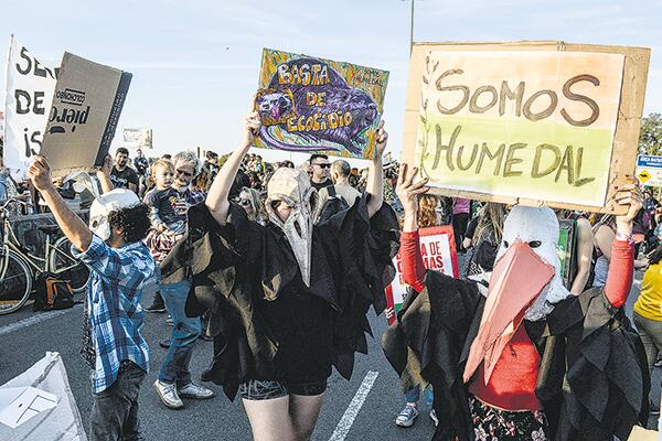 La defensa del medio ambiente es un imán para la creatividad.