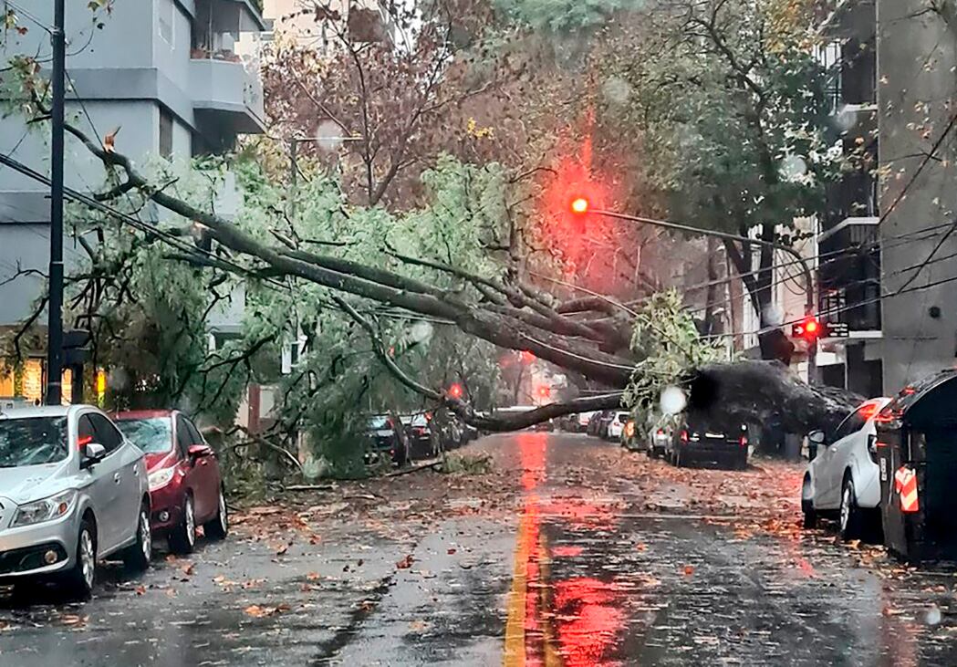 El fuerte temporal causó estragos en la Ciudad y la Provincia de Buenos Aires por la enorme cantidad de calles inundadas y árboles caídos. (Foto: NA)