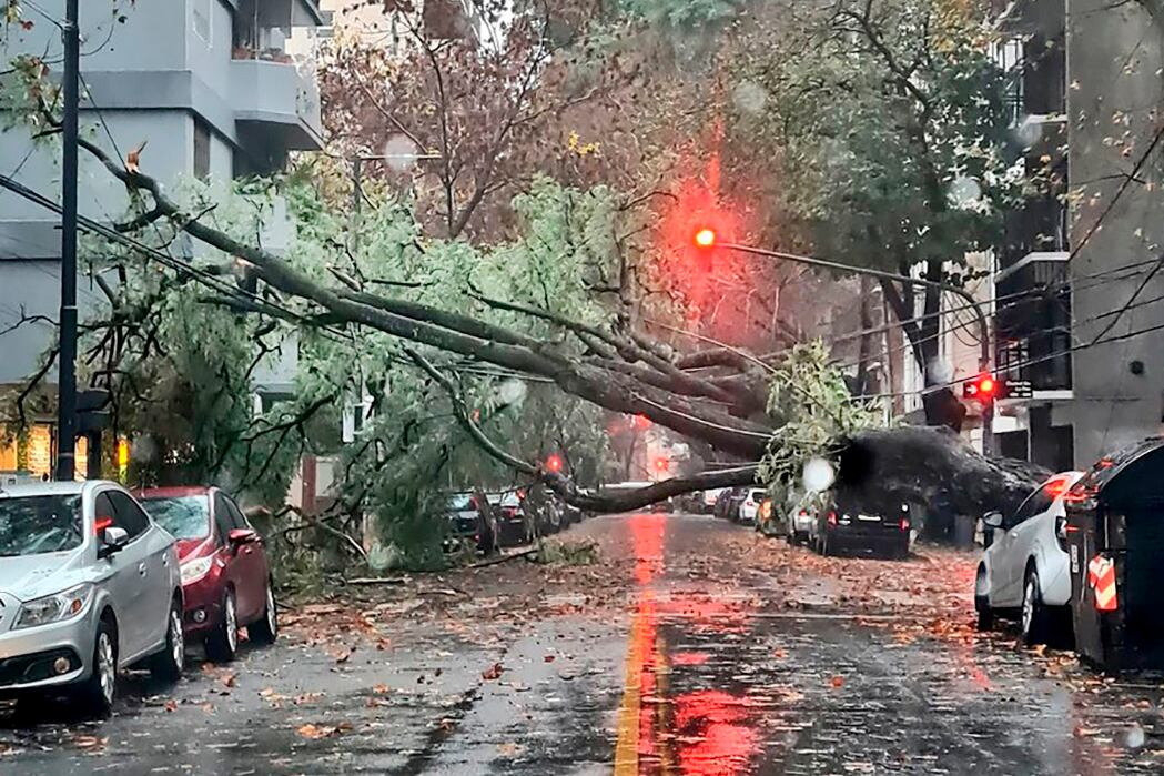 El fuerte temporal causó estragos en la Ciudad y la Provincia de Buenos Aires por la enorme cantidad de calles inundadas y árboles caídos. (Foto: NA)