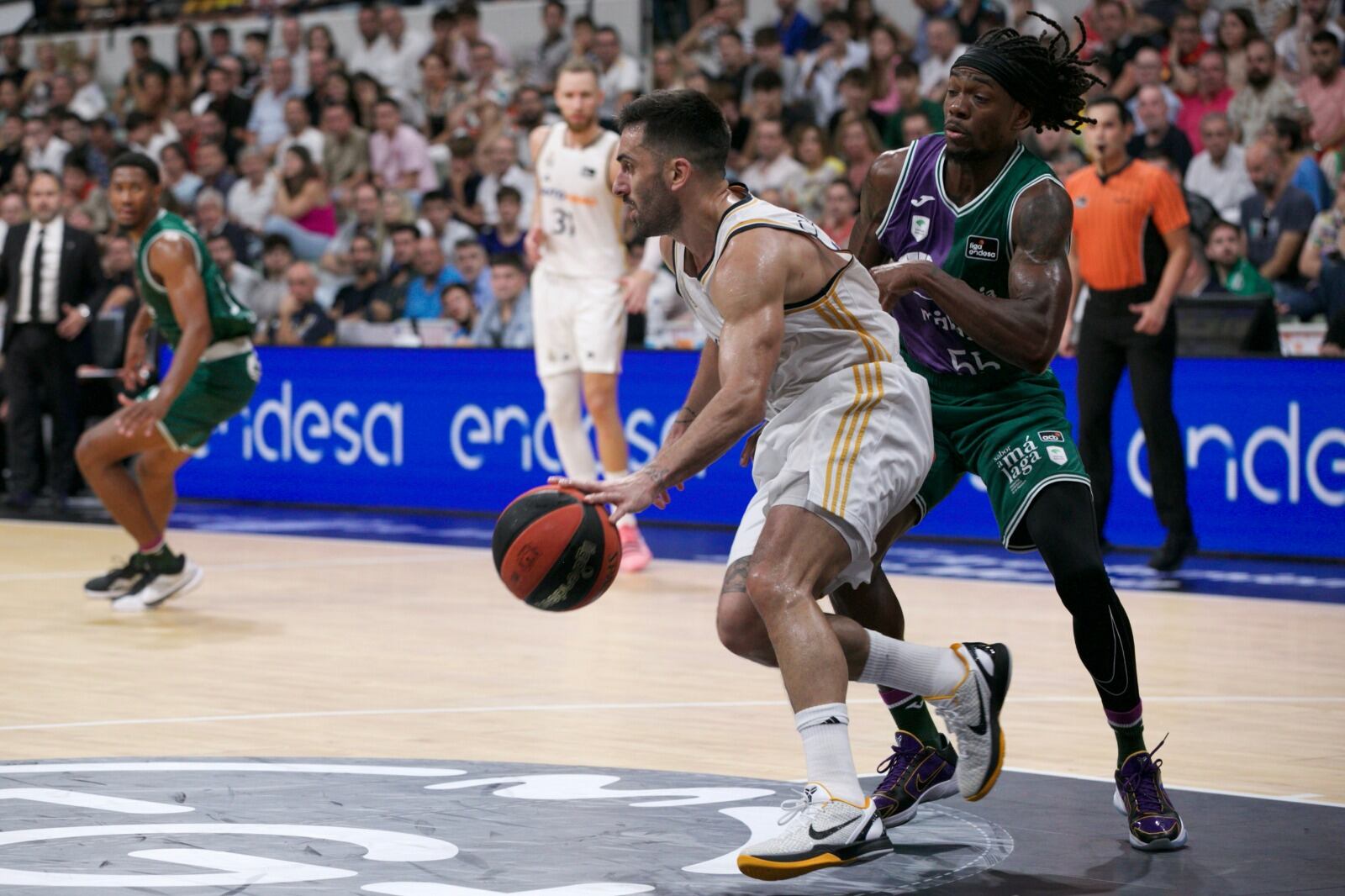 Campazzo es la gran apuesta del Real Madrid para volver a reinar en España