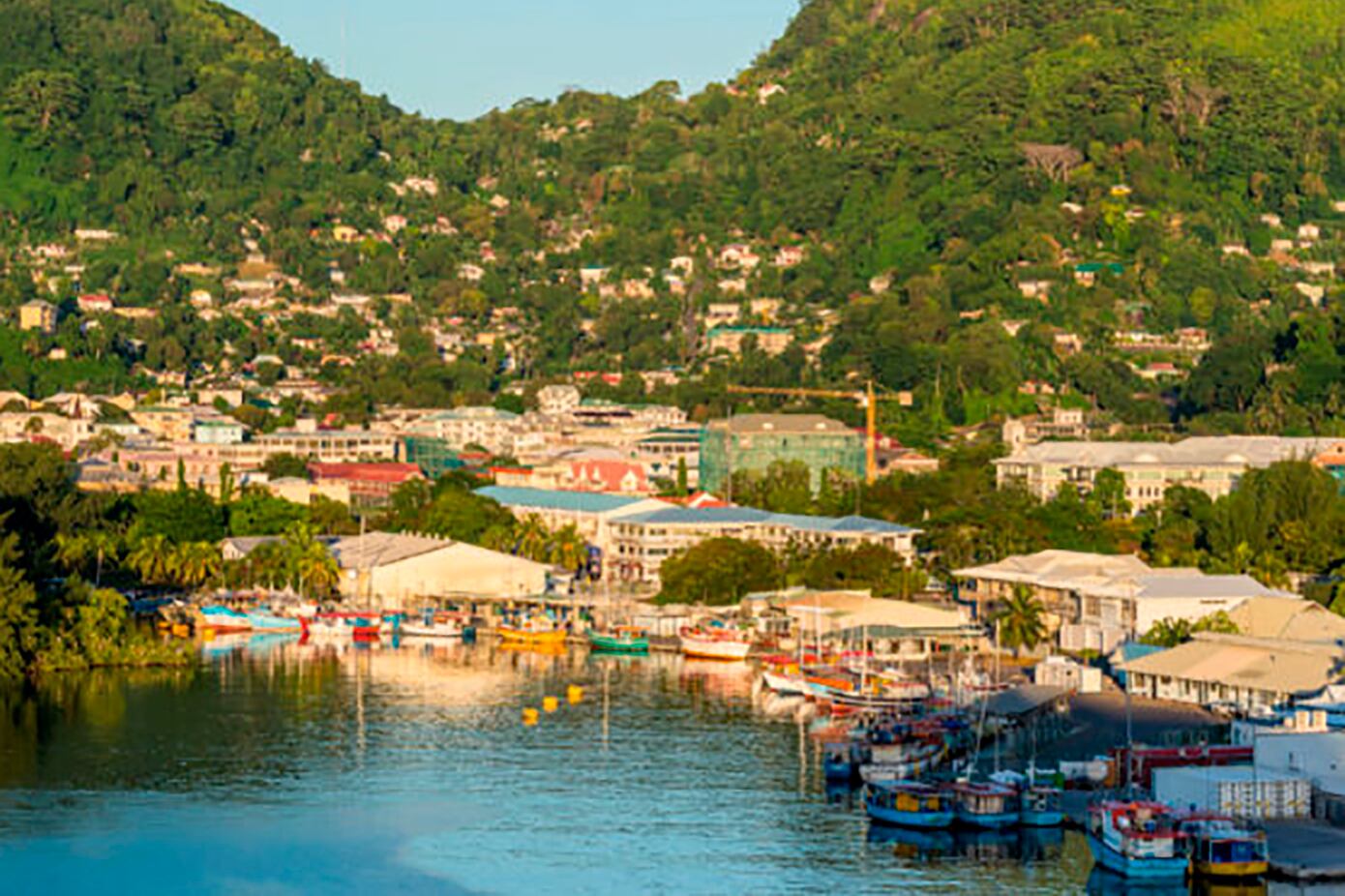 "Los paraísos fiscales dificultan a los gobiernos la financiación de hospitales, sistemas escolares o programas contra la desigualdad", afirma la economista Jayati Ghosh.