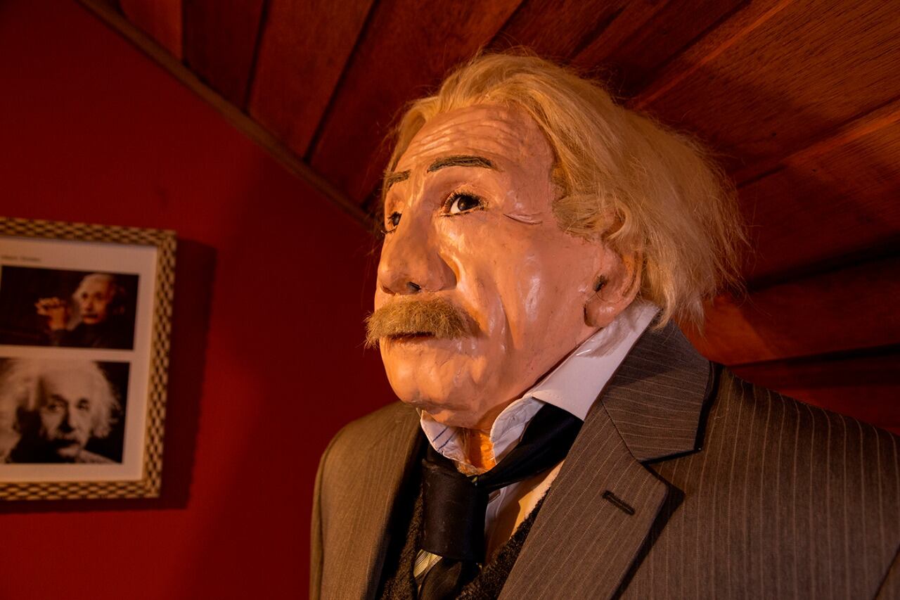 Albert Einstein, según Armacollo.