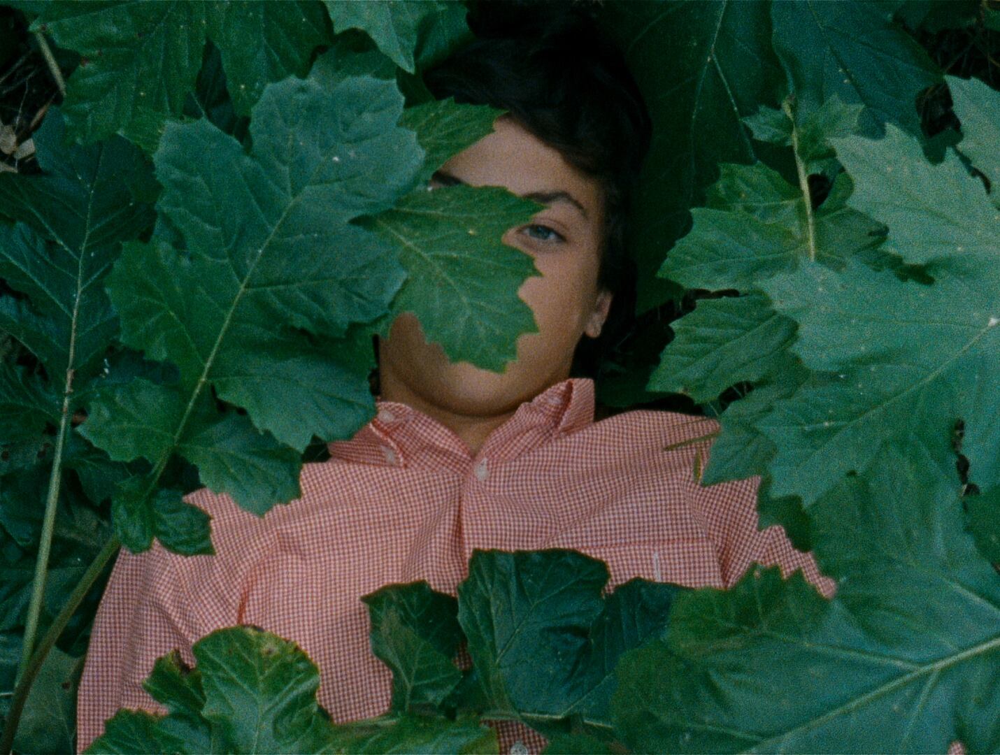 "A Metamorfose dos Pássaros", de Catarina Vasconcelos, premiada por la crítica en la Berlinale. 