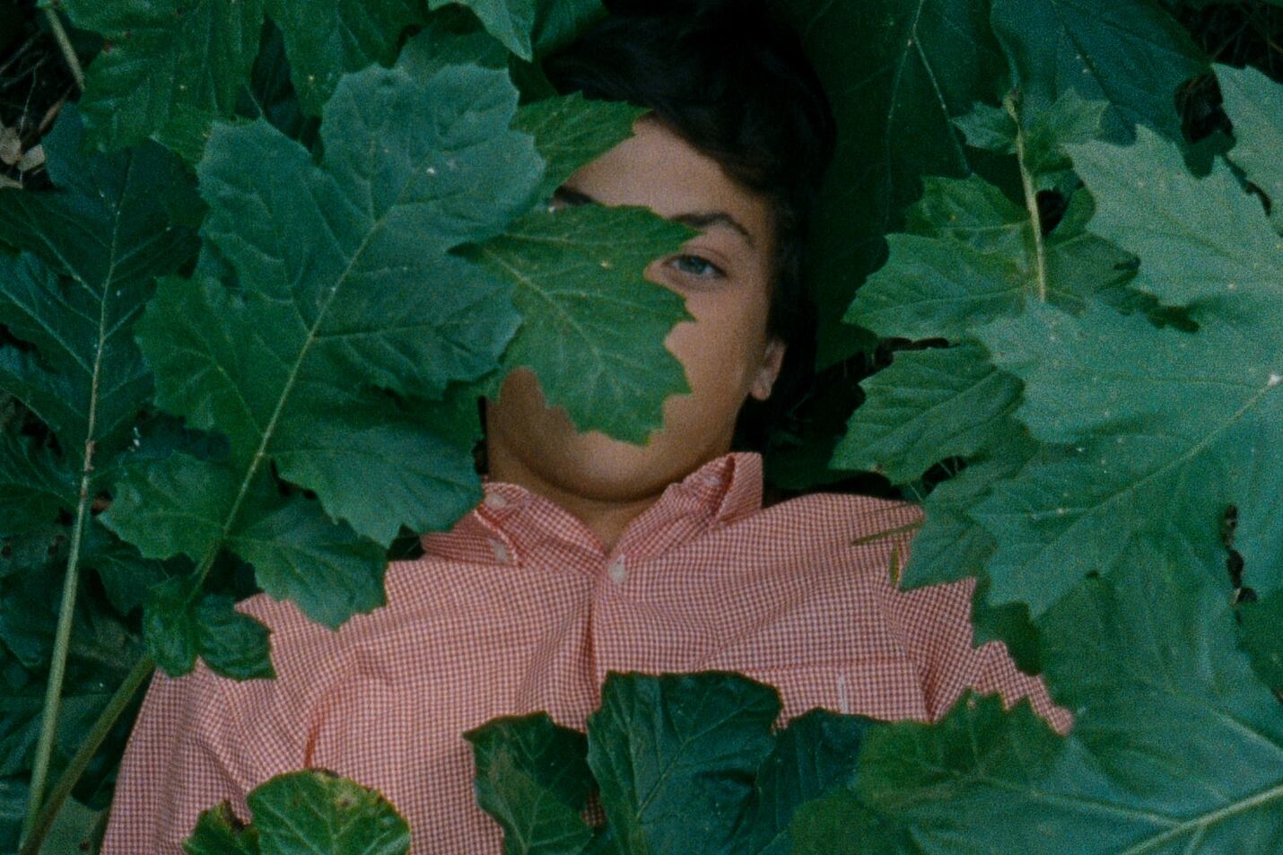 "A Metamorfose dos Pássaros", de Catarina Vasconcelos, premiada por la crítica en la Berlinale.