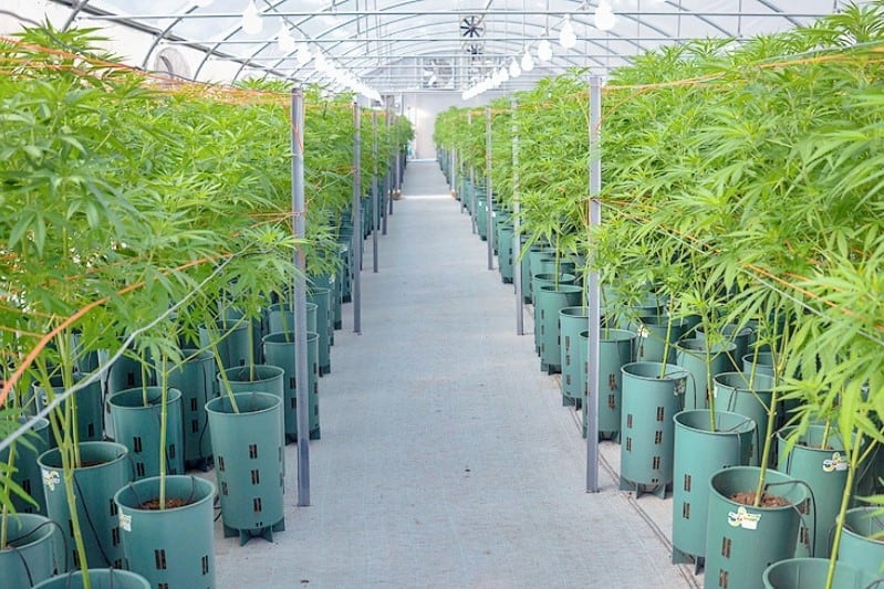 El curso está dirigido tanto a personas profesionales del rubro comol  apúblico general. Foto: Fundai. 