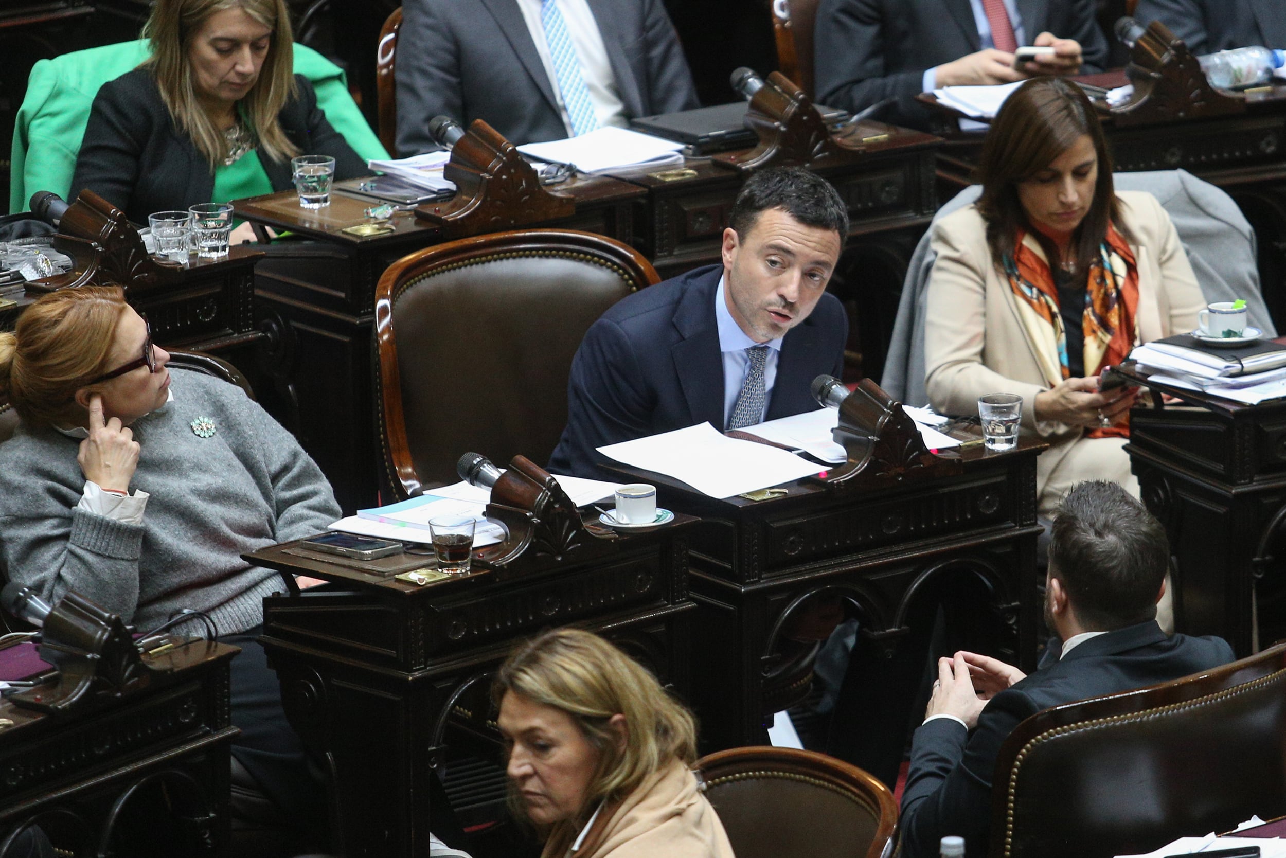 Rodrigo de Loredo, jefe de la bancada radical en Diputados.
