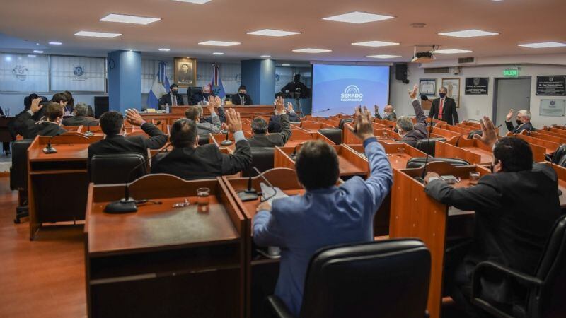 Solo hombres en la composición actual del Senado de Catamarca.