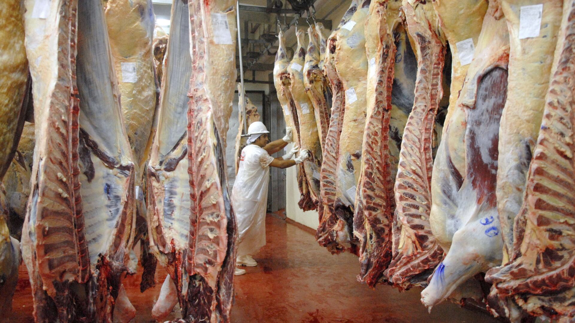 Las exportaciones de carne patagónica a Chile son marginales, pero corren peligro mercados grandes como el europeo