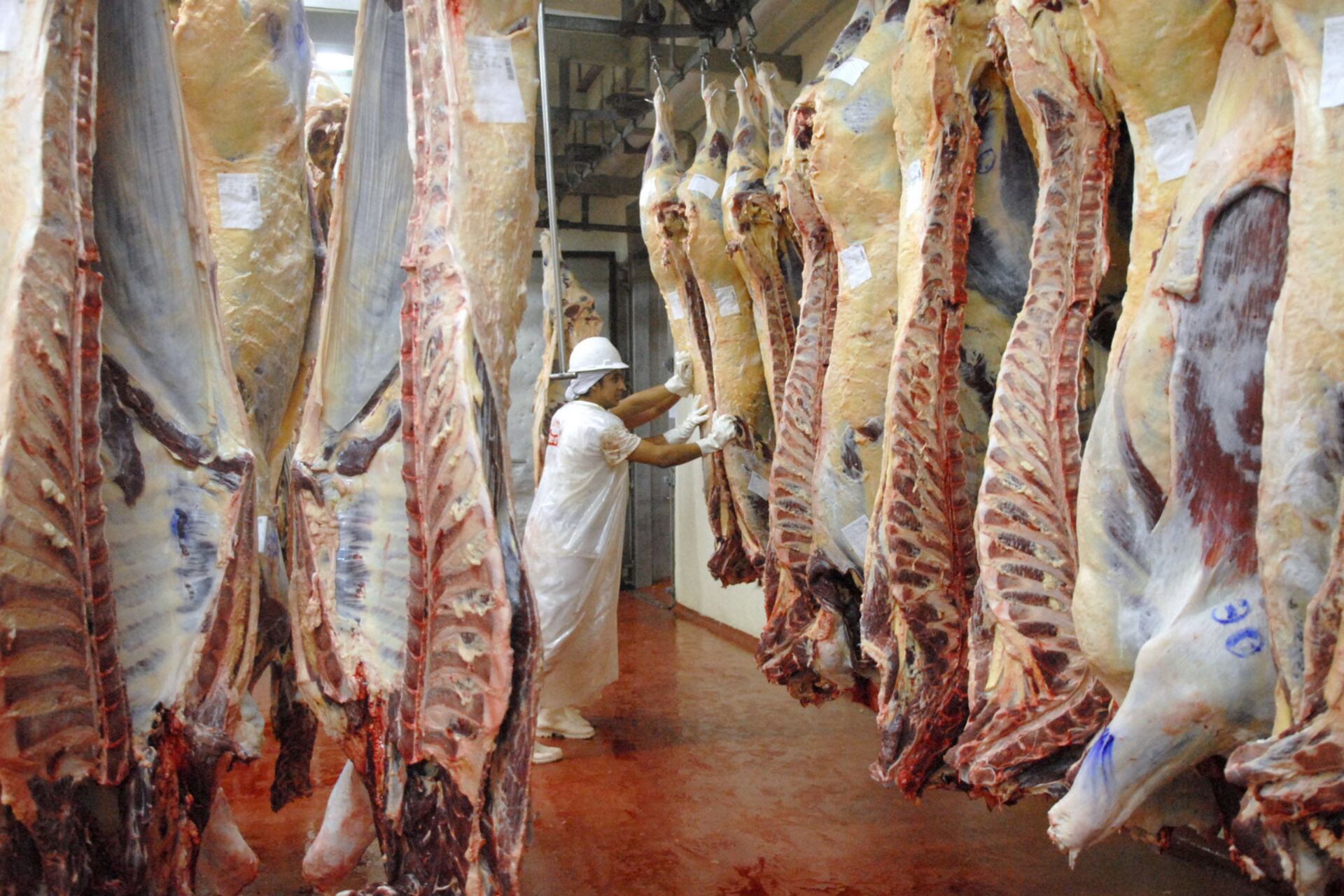 Las exportaciones de carne patagónica a Chile son marginales, pero corren peligro mercados grandes como el europeo