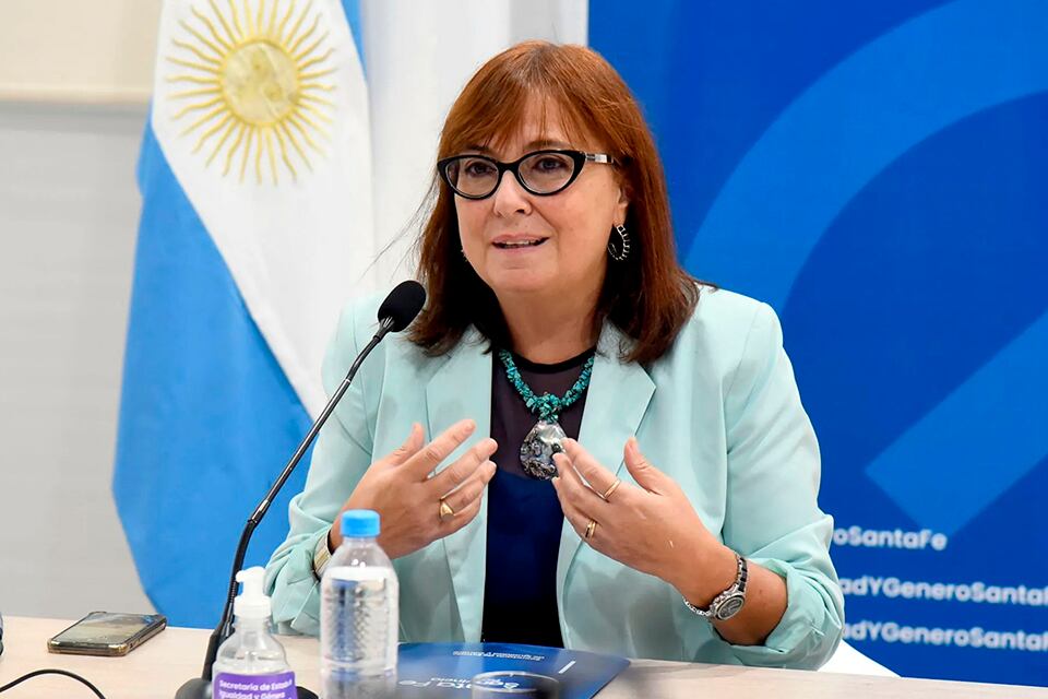 A la ministra de Gobierno Celia Arena le pidieron informes.