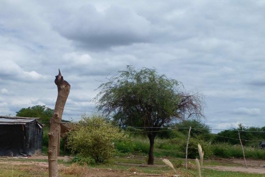Al fondo, la vivienda de la familia.