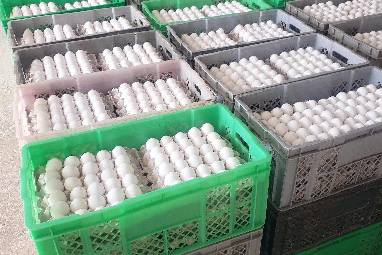 El encarecimiento del huevo obedece a temas productivos, logísticos, climáticos y de política económica.