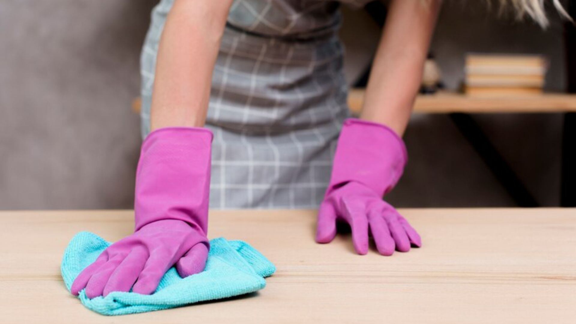 Empleadas domésticas mayo 2024 