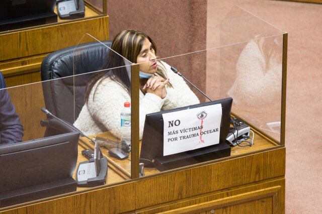 Foto: Fabiola Campillai durante una sesión de la Cámara de Senadores de Chile. Fuente: Senado de Chile.