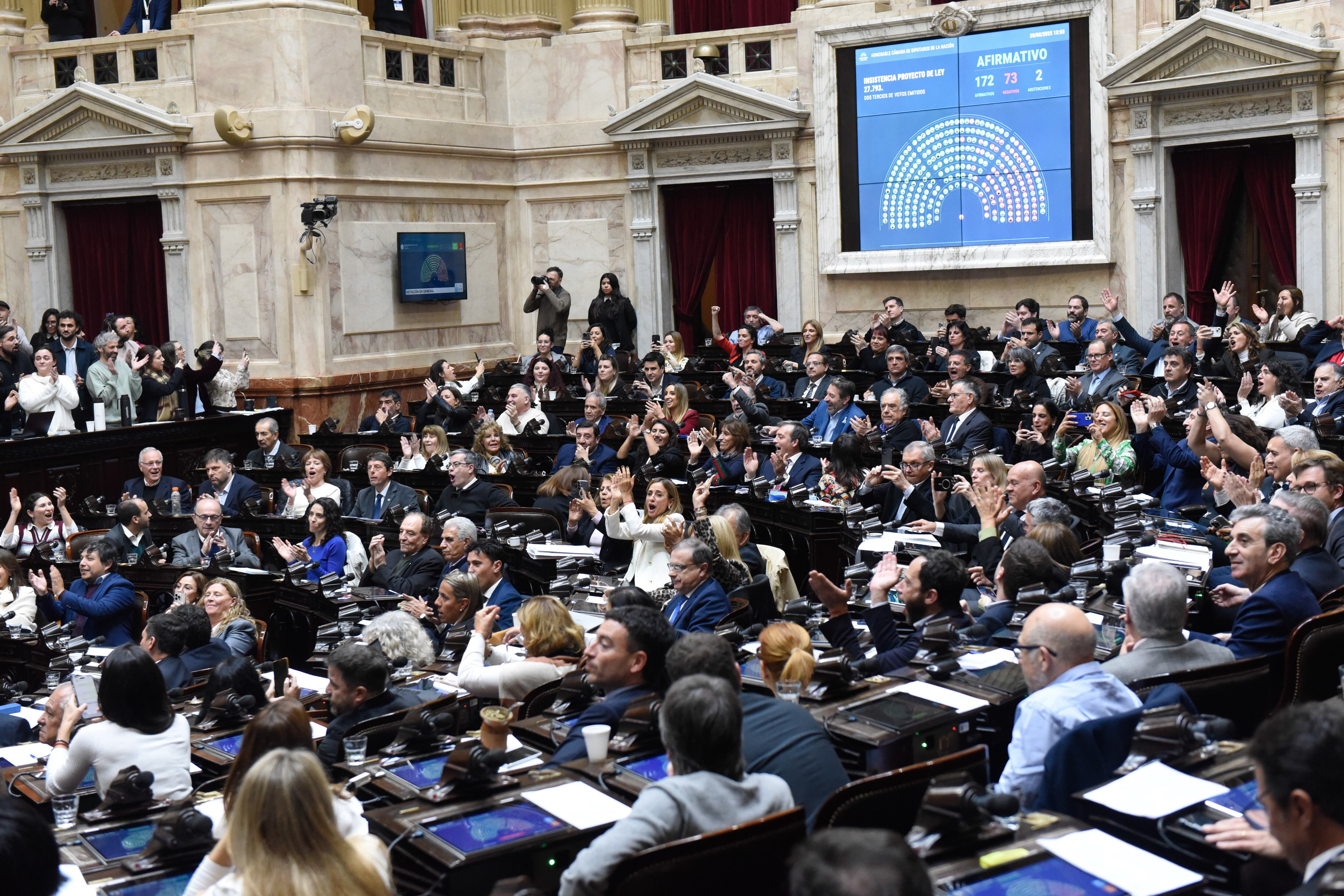 La oposición celebra el rechazo al veto de Emergencia en Discapacidad.
