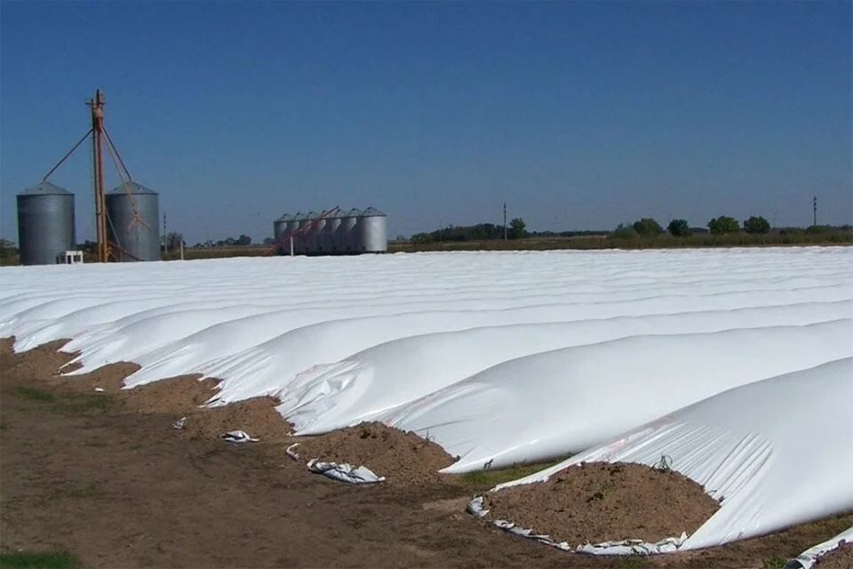 El aparato aceitero exportador vuelve a compensar los andares sombríos de otros rubros.