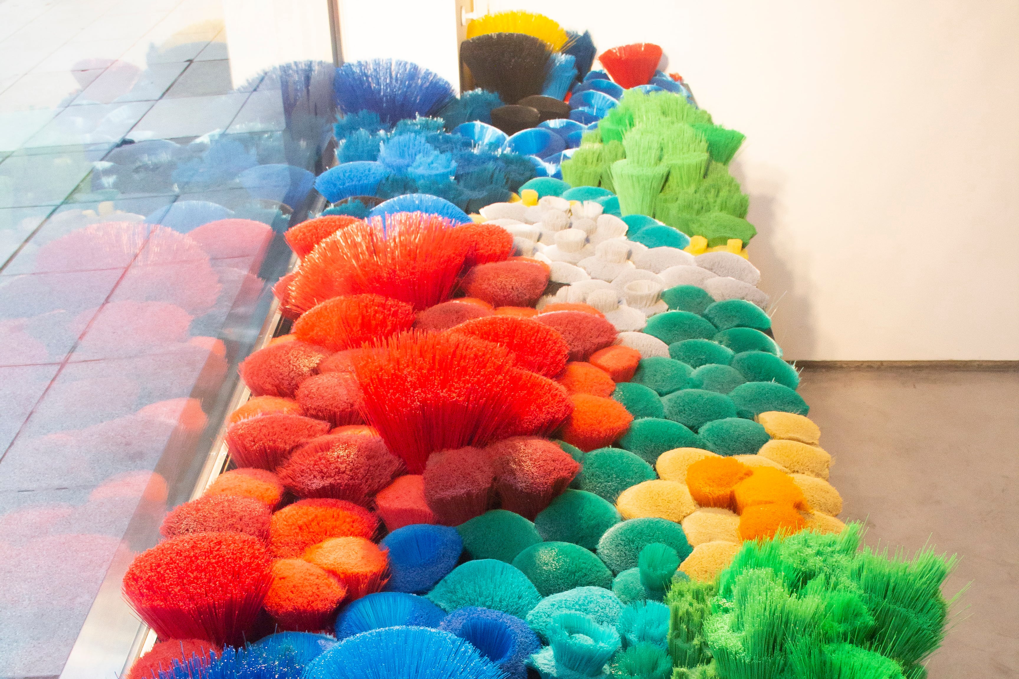 El origen de las especies, vista lateral