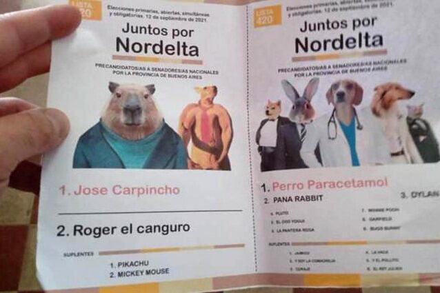 En Bahía Blanca, también aparecieron falsas boletas con un carpincho como precandidato.