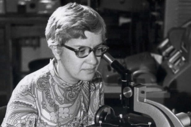 La materia oscura es un tipo no identificado de materia no visible que ocupa el 27% de la masa y la energía en el universo.