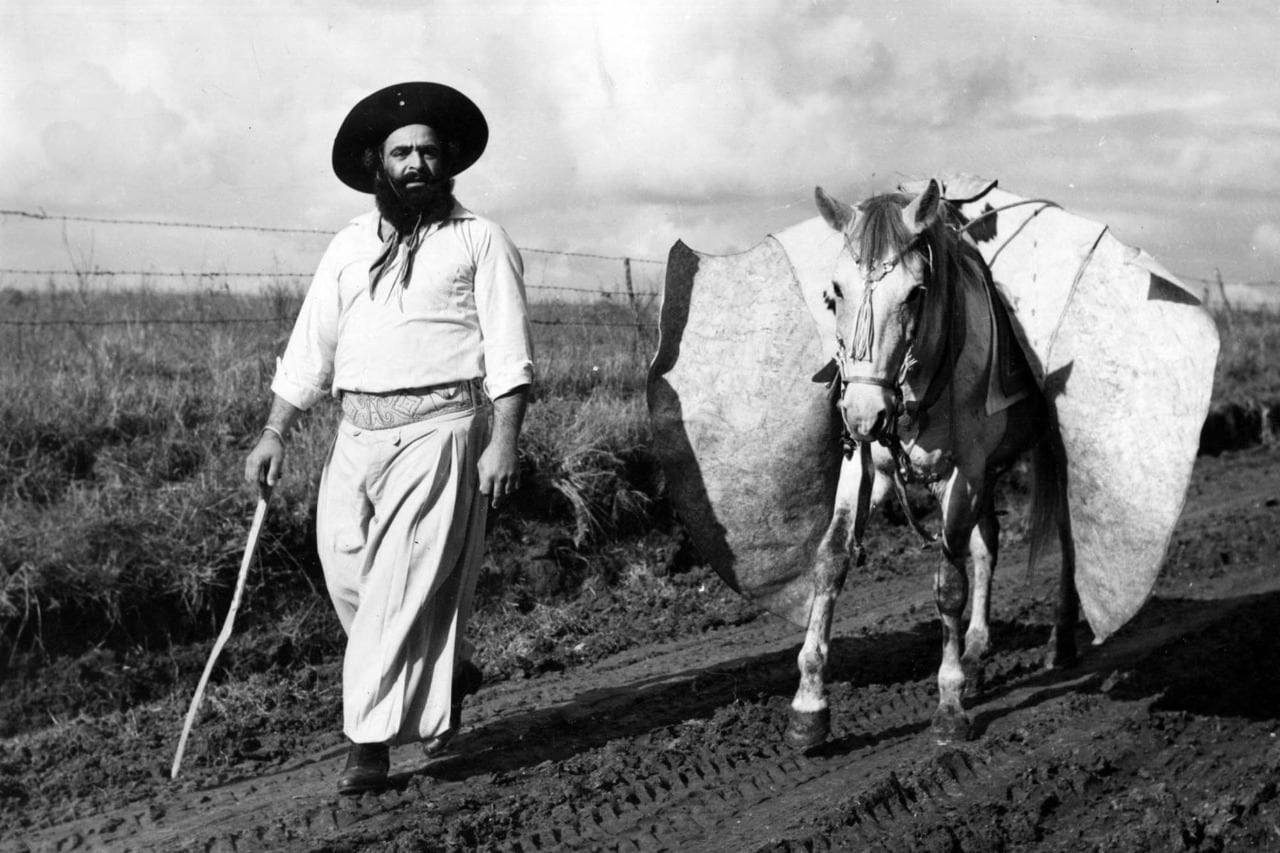 El film recoge el poco material de archivo que hay sobre Cafrune.