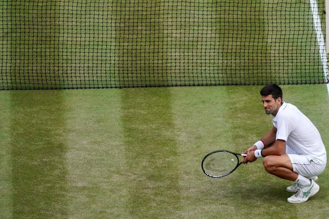 Djokovic es el vigente campeón y tendrá que defender el título recién en 2021.