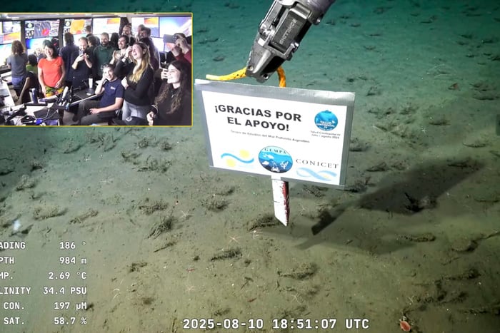 Conicet-12/08/2025