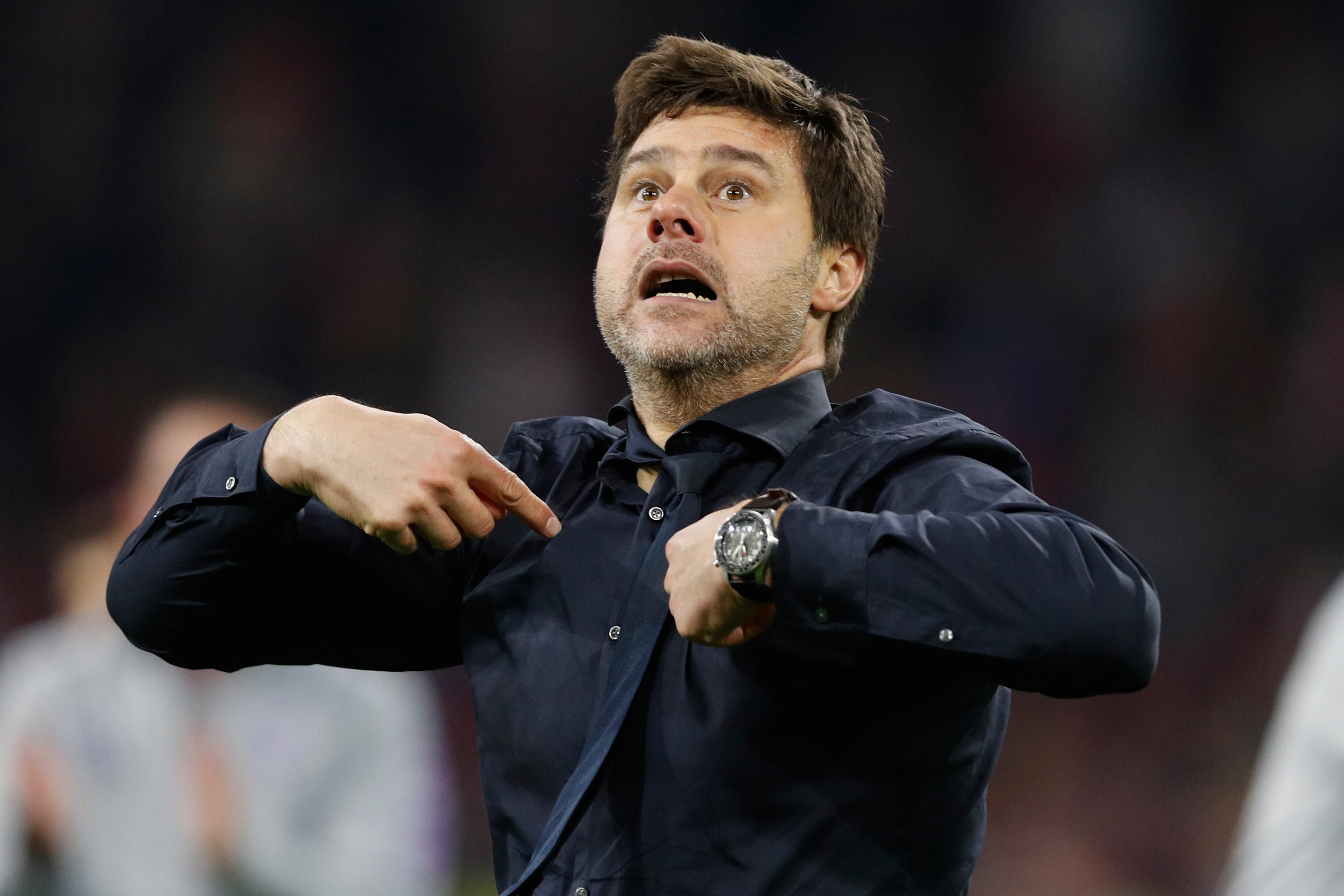Mauricio Pochettino, DT del Tottenham.